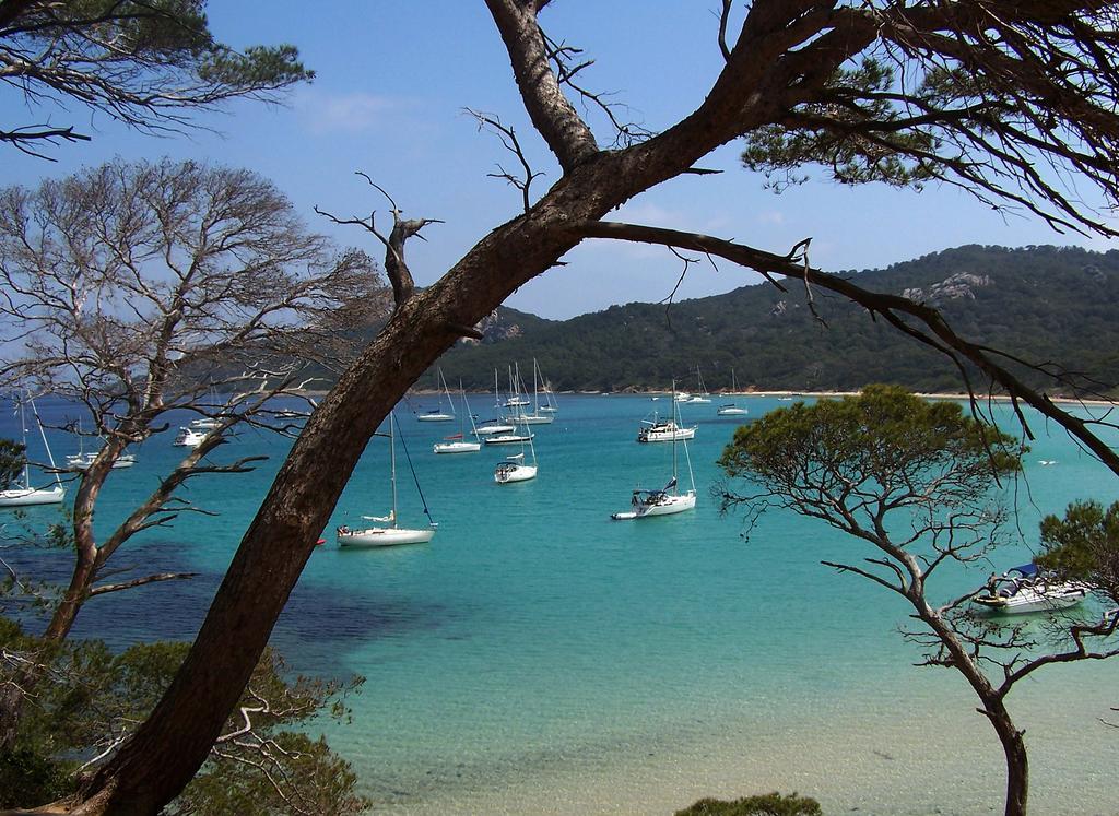 Le Cube Hotel Design A Hyeres Plage Avec Piscine Et Cuisine Kültér fotó